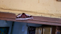 Projectfoto's van Anna