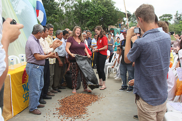 De eerste cacao op de droogvloer