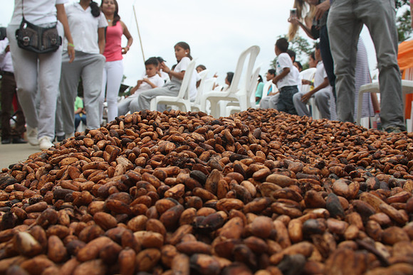 De cacao op de cacaovloer tijdens de ceremonie