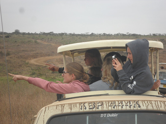 45 Safari