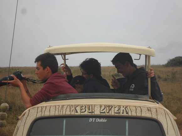 42 Safari