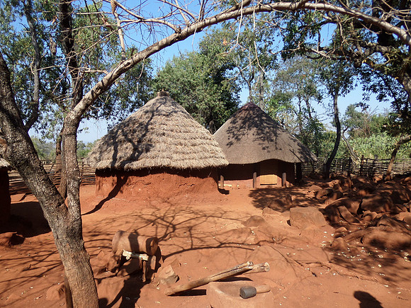 'Afrikaanse stam'.