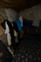 Projectfoto's van Esther