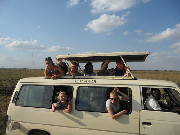 61 Safari